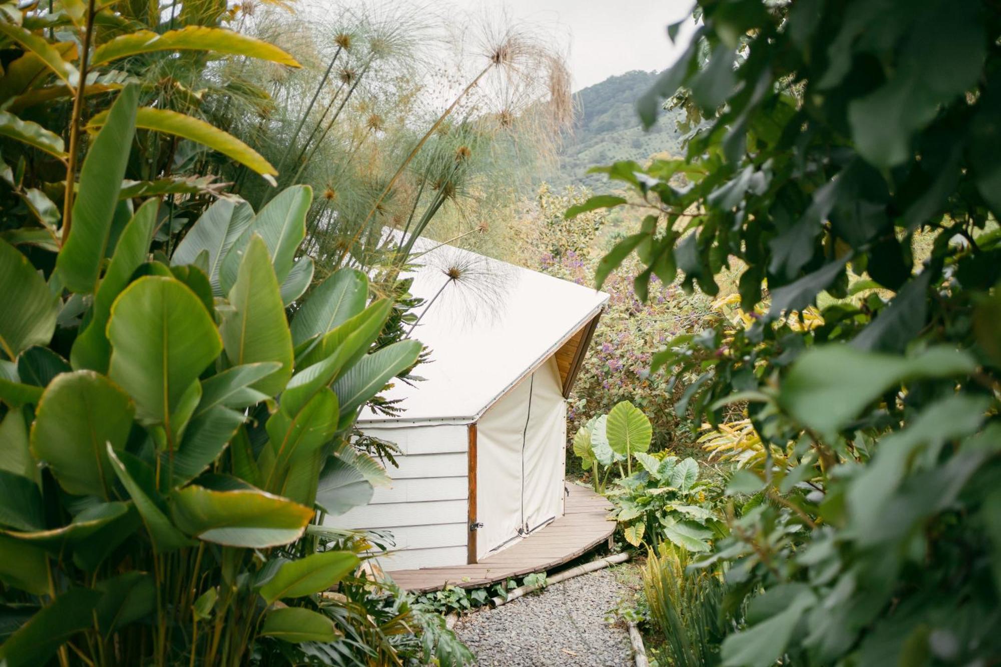 Vila Glamping Lumbre Salento Exteriér fotografie